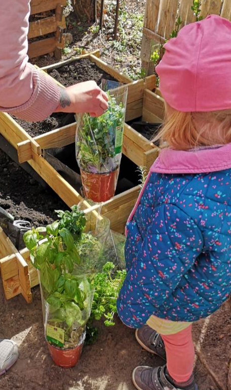 Kertészkednek a gyerekek a családi bölcsiben